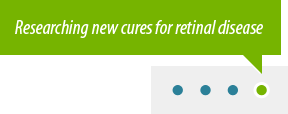 Researching New Cures for Retinal Disease